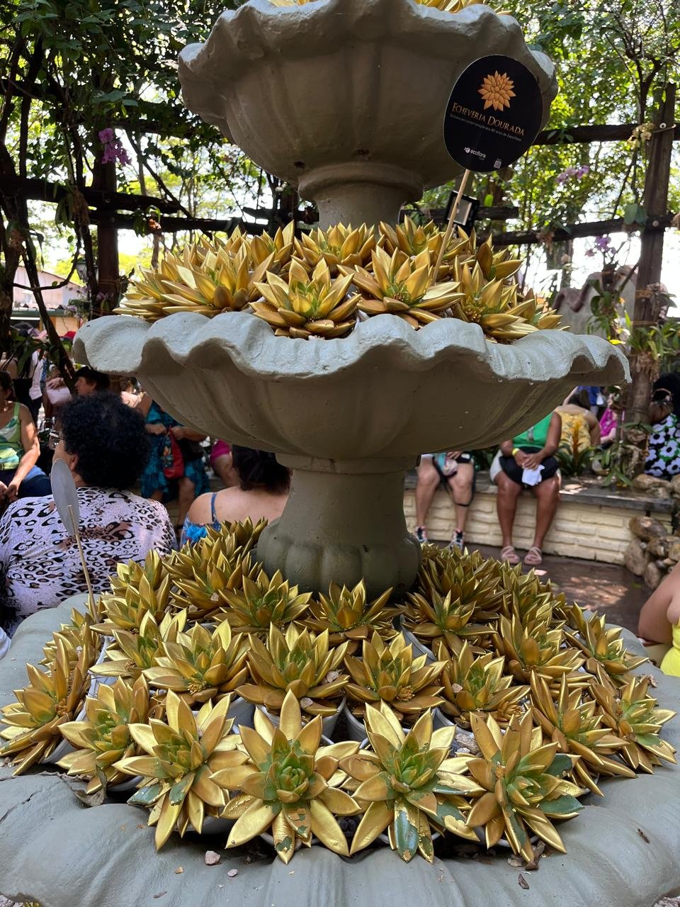 Foto da viagem